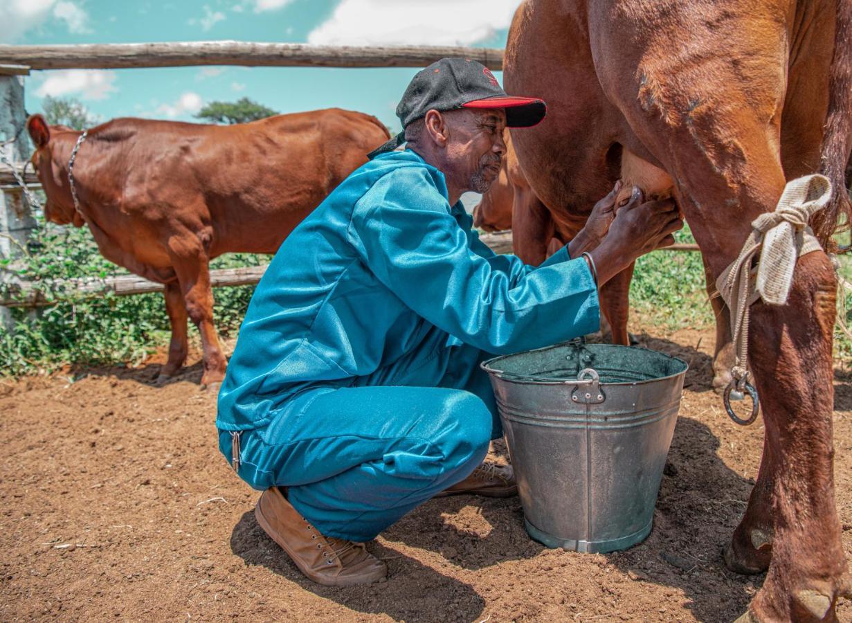 Farmstay Okakeua Okahandja Exteriér fotografie