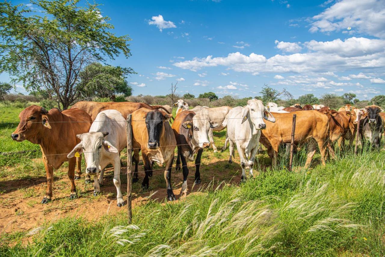 Farmstay Okakeua Okahandja Exteriér fotografie